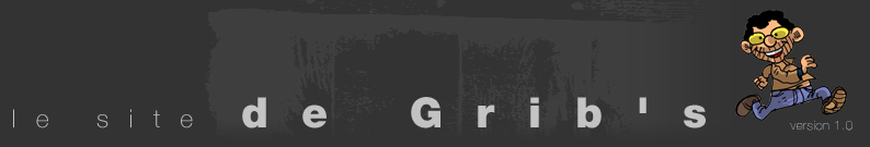 le site de grib's